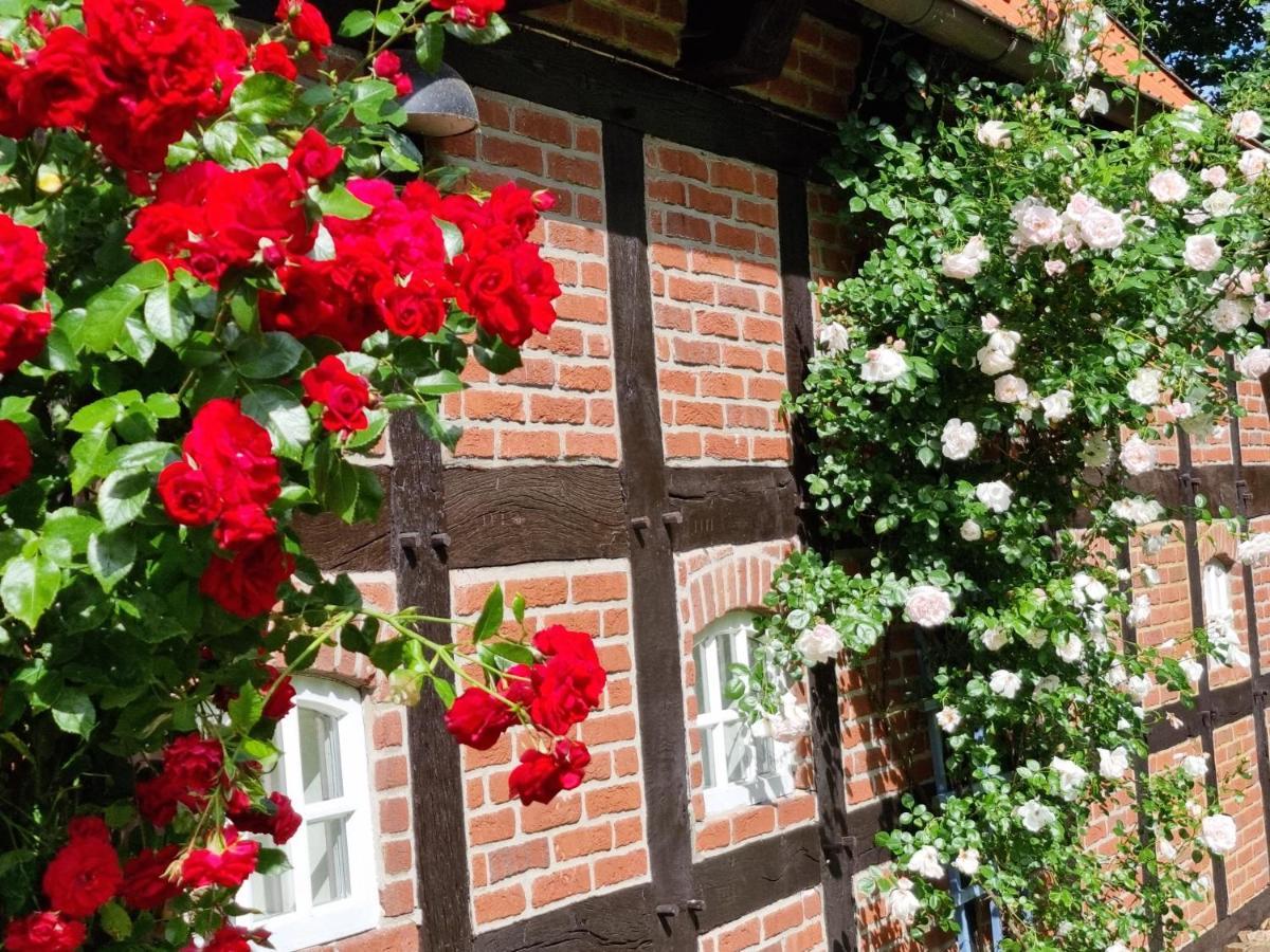 Gaestehaus Am Kattensteert Borchel エクステリア 写真