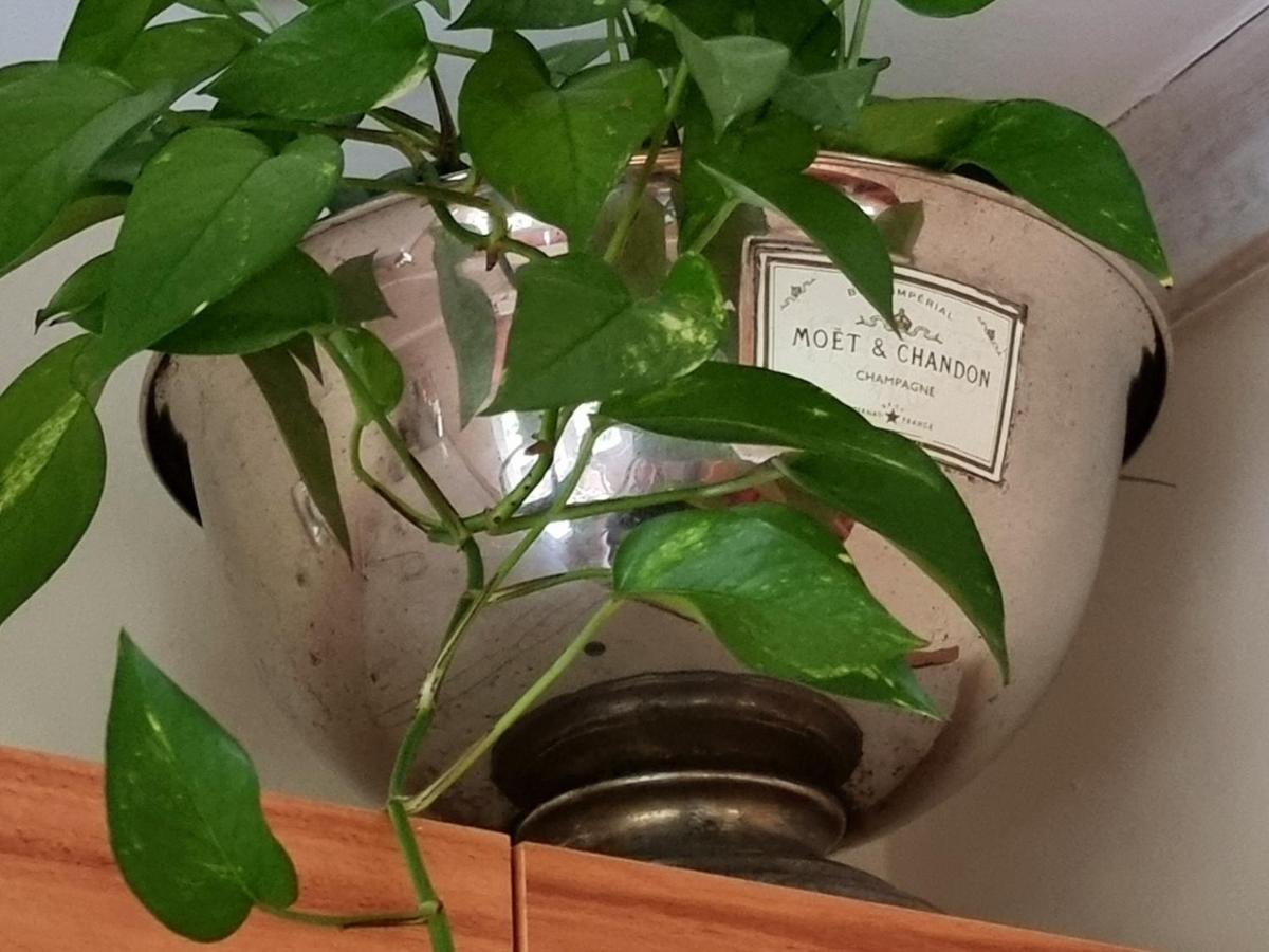 Gaestehaus Am Kattensteert Borchel エクステリア 写真